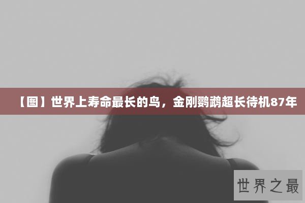 【图】世界上寿命最长的鸟，金刚鹦鹉超长待机87年