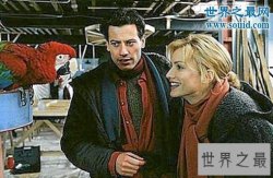 【图】世界上寿命最长的鸟，金刚鹦鹉超长待机87年