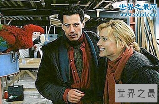 【图】世界上寿命最长的鸟，金刚鹦鹉超长待机87年