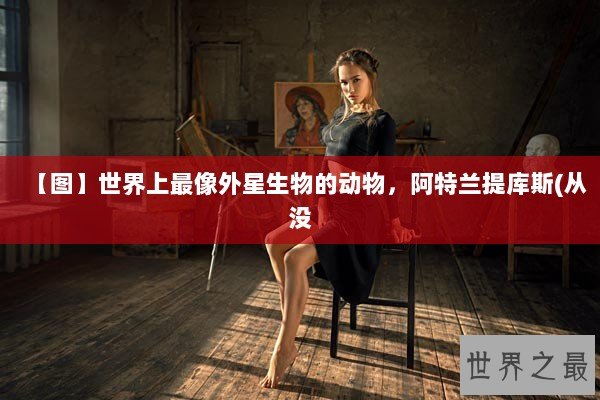 【图】世界上最像外星生物的动物，阿特兰提库斯(从没