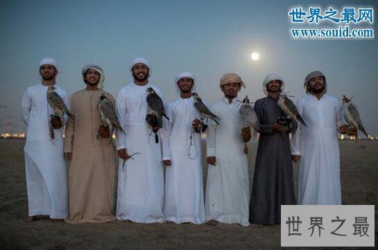 【图】世界上最昂贵的宠物,迪拜的土豪都是养鹰隼的