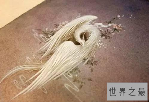 【图】虬褫，一条活在我们古代神话故事里的白蛇