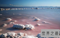 【图】宛如梦境般的察尔汗盐湖还有晶透的盐花耶