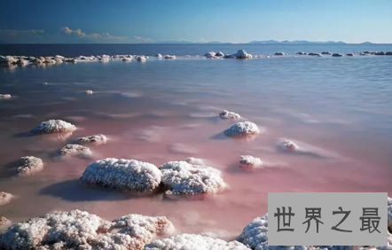 【图】宛如梦境般的察尔汗盐湖还有晶透的盐花耶