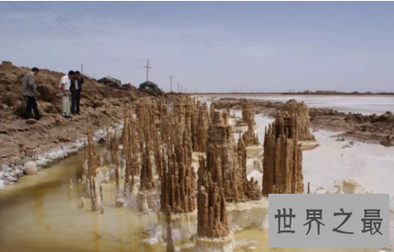 【图】宛如梦境般的察尔汗盐湖还有晶透的盐花耶