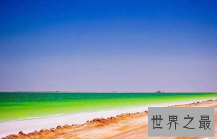 【图】宛如梦境般的察尔汗盐湖还有晶透的盐花耶