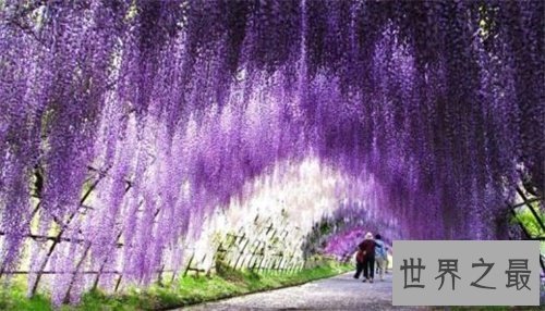 【图】最美的风景图片给我看的想去旅游 就差钱了