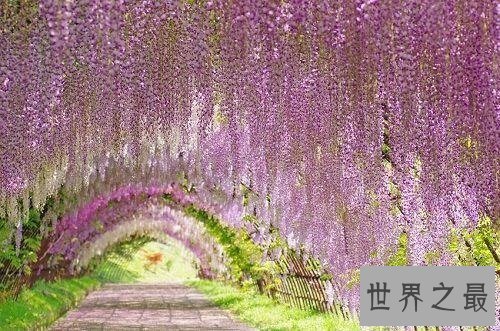 【图】世界上最美丽的地方不去将是人生的遗憾