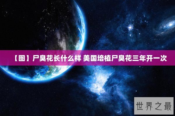 【图】尸臭花长什么样 美国培植尸臭花三年开一次