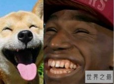 【图】盘点NBA史上五大最魔性搞怪的微笑 表情包大户姚