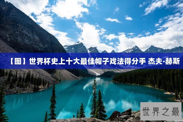 【图】世界杯史上十大最佳帽子戏法得分手 杰夫·赫斯