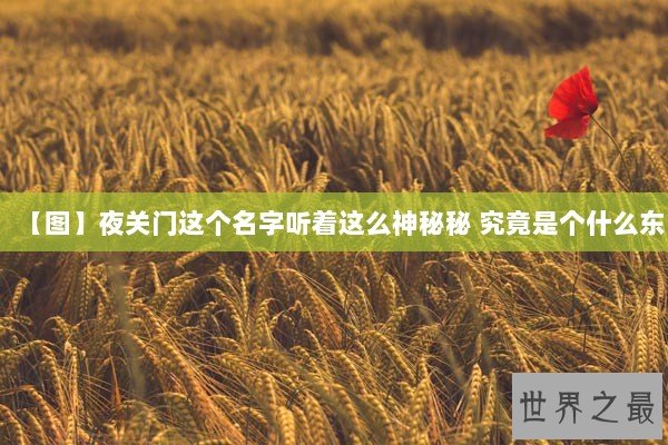 【图】夜关门这个名字听着这么神秘秘 究竟是个什么东