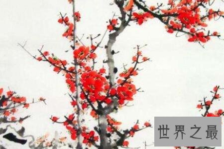 【图】早梅时常被很多人歌颂但是都被赋予不同的情怀