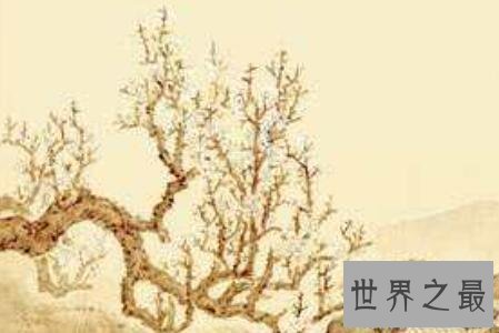 【图】早梅时常被很多人歌颂但是都被赋予不同的情怀