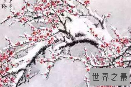 【图】早梅时常被很多人歌颂但是都被赋予不同的情怀