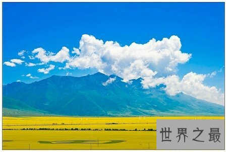 【图】青海花儿大全在网上非常的有名 可以来了解一下