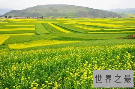 【图】青海花儿大全在网上非常的有名 可以来了解一下