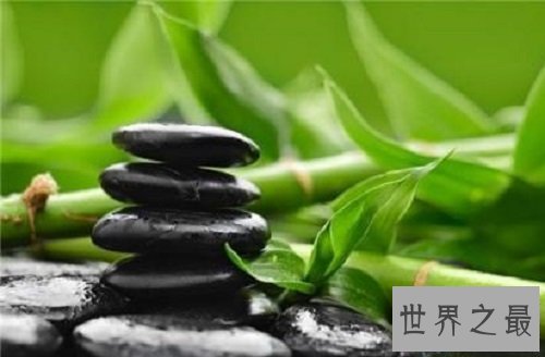 【图】你知道山中常见的竹子是树还是草吗