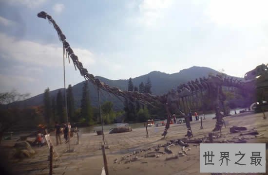 【图】世界上最大的恐龙，易碎双腔龙(长80米/重220吨