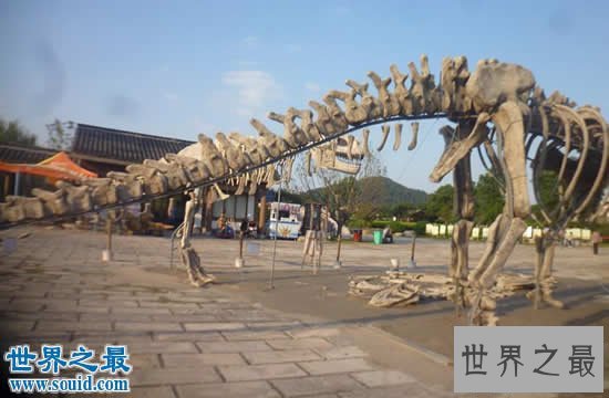 【图】世界上最大的恐龙，易碎双腔龙(长80米/重220吨