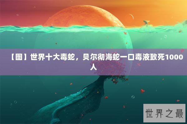 【图】世界十大毒蛇，贝尔彻海蛇一口毒液致死1000人