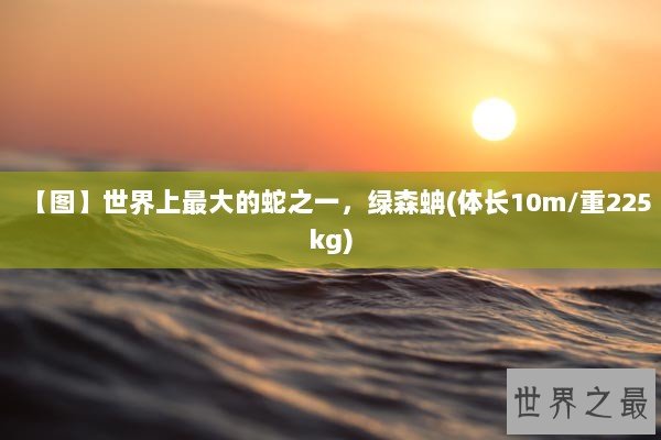 【图】世界上最大的蛇之一，绿森蚺(体长10m/重225kg)