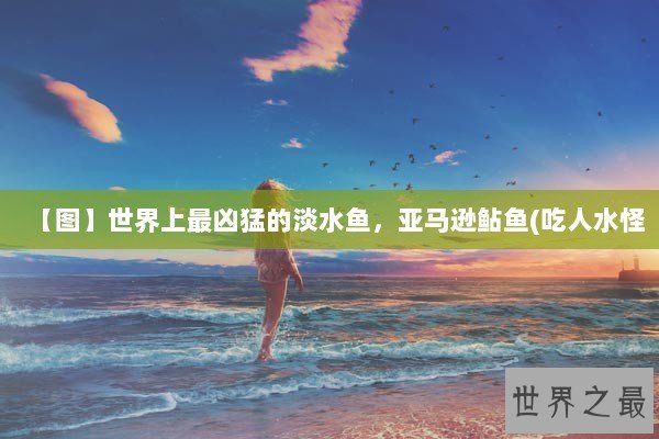 【图】世界上最凶猛的淡水鱼，亚马逊鲇鱼(吃人水怪