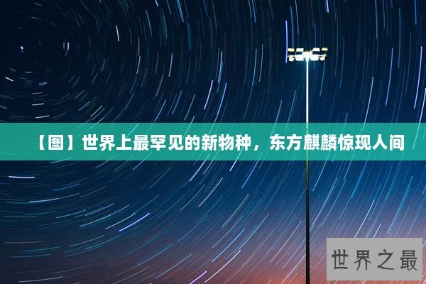 【图】世界上最罕见的新物种，东方麒麟惊现人间