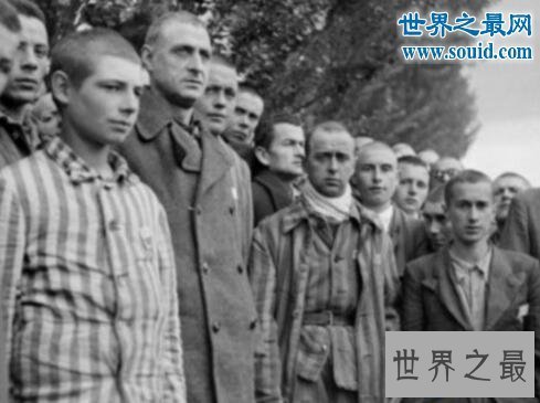 【图】世界上毛最长的兔子，巨型安哥拉兔(最长37厘米