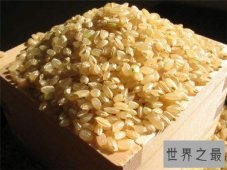 【图】糙米的功效与作用介绍 糙米的做法及食用禁忌