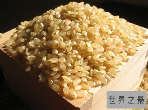 【图】糙米的功效与作用介绍 糙米的做法及食用禁忌