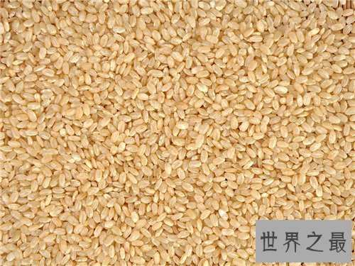 【图】糙米的功效与作用介绍 糙米的做法及食用禁忌