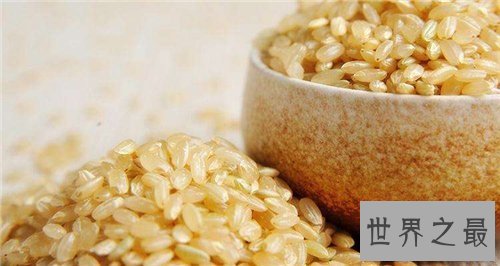 【图】糙米的功效与作用介绍 糙米的做法及食用禁忌