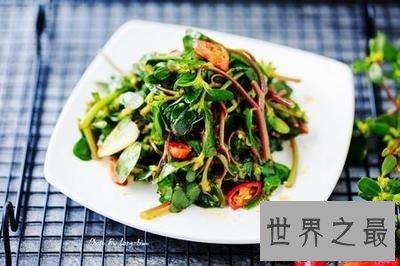 【图】看过马齿笕图片就知道这是你可能会吃过的凉菜