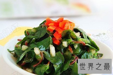 【图】看过马齿笕图片就知道这是你可能会吃过的凉菜