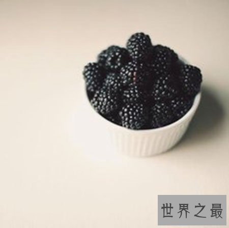 【图】普普通通的桑葚却有着你想象不到的药用价值