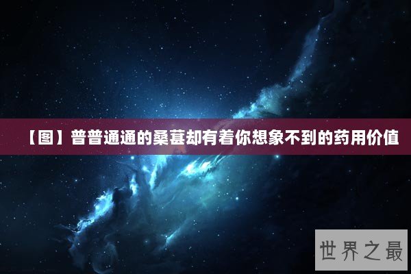 【图】普普通通的桑葚却有着你想象不到的药用价值