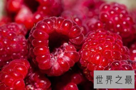 【图】普普通通的桑葚却有着你想象不到的药用价值