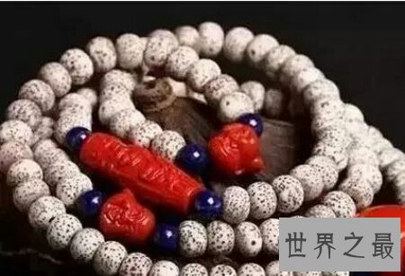 【图】一种用途很广的木头拓木 也可也用来当药材哦