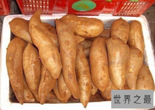 【图】雪莲果，很明显我跟天山雪莲莫得什么关系，可