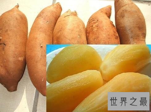 【图】雪莲果，很明显我跟天山雪莲莫得什么关系，可