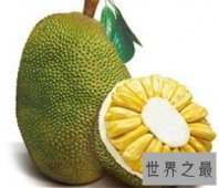【图】要不是看了菠萝蜜图片 我还真以为是榴莲