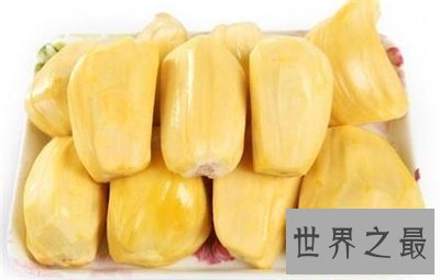 【图】要不是看了菠萝蜜图片 我还真以为是榴莲