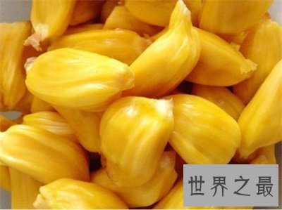 【图】要不是看了菠萝蜜图片 我还真以为是榴莲