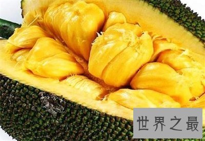 【图】要不是看了菠萝蜜图片 我还真以为是榴莲