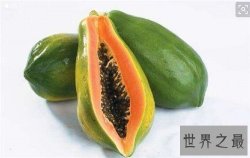 【图】青木瓜功效和作用介绍 青木瓜有哪些营养价值