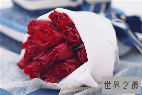 【图】各种花的花语含义介绍 了解花语再送花是对人的
