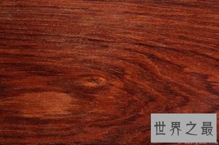 【图】酸枝木为什么会有那么多人喜欢 它真的百年不腐