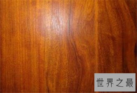 【图】酸枝木为什么会有那么多人喜欢 它真的百年不腐