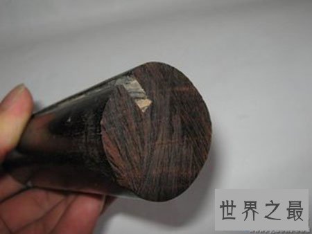 【图】酸枝木为什么会有那么多人喜欢 它真的百年不腐